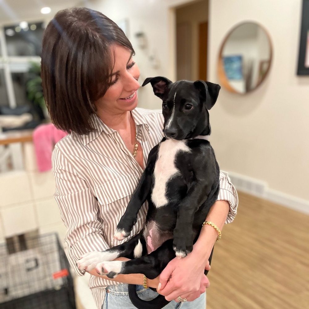 Meet your Posher, Julia